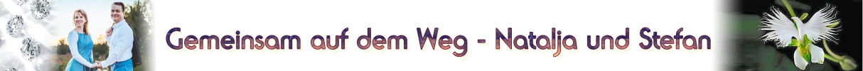 Final_Header